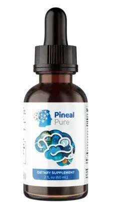 support memory function and overall brain health